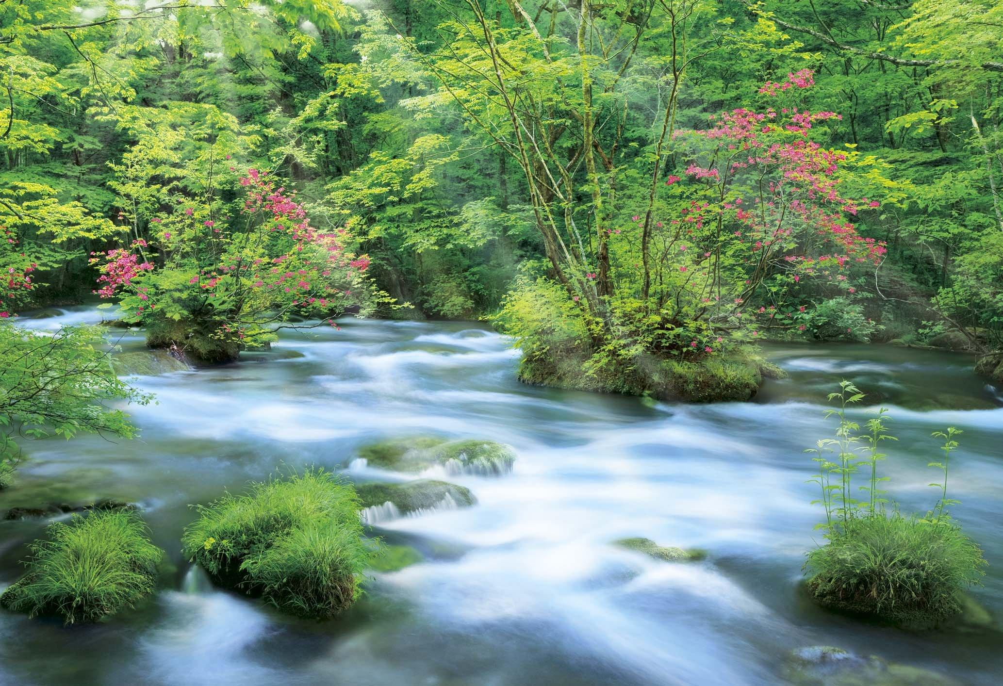 300 Piece Jigsaw Puzzle Aim to be a Puzzle Azalea Blooming Oirase Gorge Aomori Master! - (26x38cm)
300 Piece Jigsaw Puzzle Aim to be a Puzzle Azalea Blooming Oirase Gorge Aomori Master! - (26x38cm)