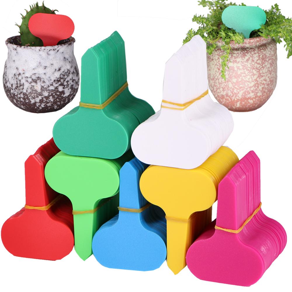 50-70PCS 5x7CM T Shaped Garden Plant Labels Plastic Multicolor Succulent Tags for Seedlings Nursery Sign Potted Flowers Markers
50-70PCS 5x7CM T Shaped Garden Plant Labels Plastic Multicolor Succulent Tags for Seedlings Nursery Sign Potted Flowers Markers