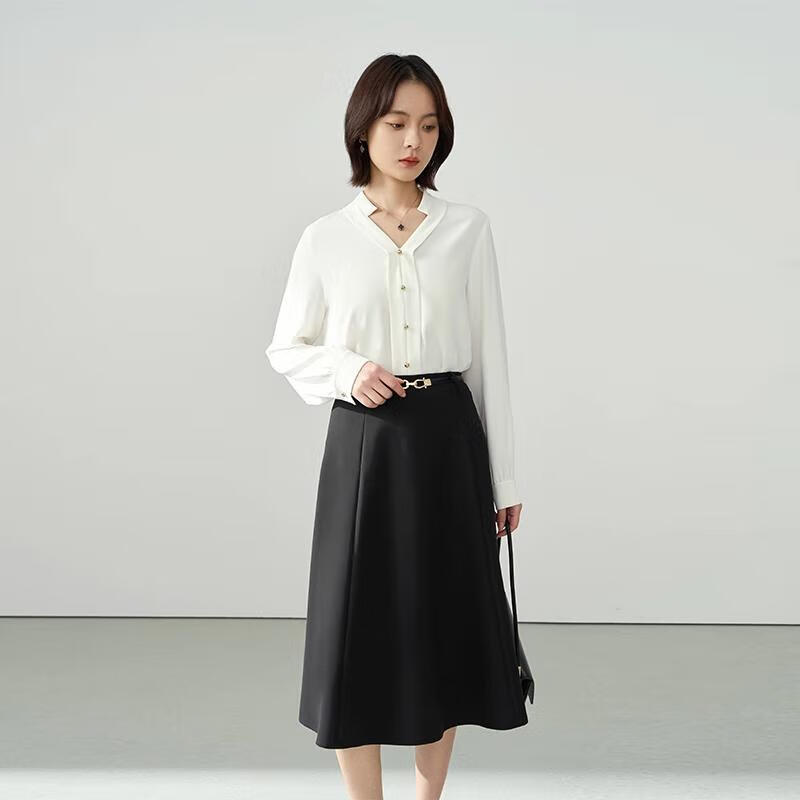 Women s V-Neck Long Sleeve Professional Blouse L
Women s V-Neck Long Sleeve Professional Blouse L