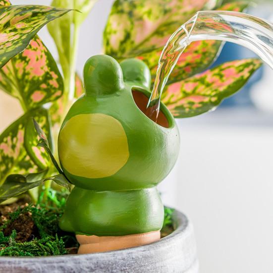 4Pcs Self Watering Globes Frog Design Clay Slow Release Plant Waterer Automatic Flower Watering Spikes 4pcs
4Pcs Self Watering Globes Frog Design Clay Slow Release Plant Waterer Automatic Flower Watering Spikes 4pcs