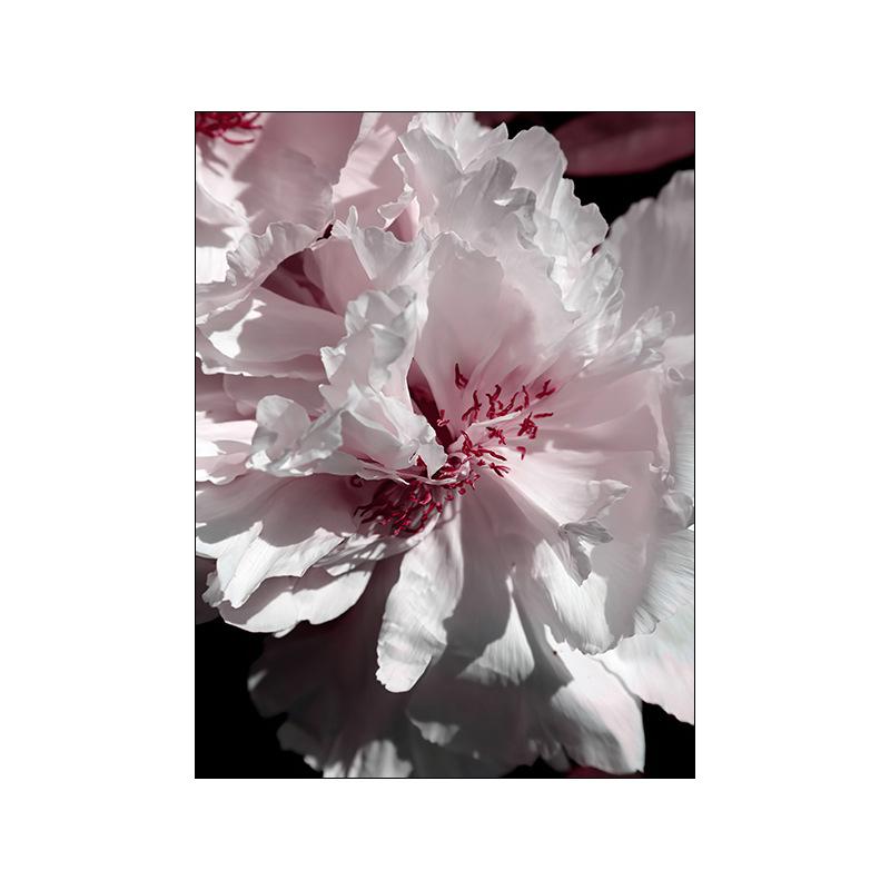 Розовые цветы пион, настенные художественные постеры, тычинка, холст, картины, принт, плакат с растениями, скандинавские настенные панно для украшения спальни для девочек 21*30cm
Розовые цветы пион, настенные художественные постеры, тычинка, холст, картины, принт, плакат с растениями, скандинавские настенные панно для украшения спальни для девочек 21*30cm