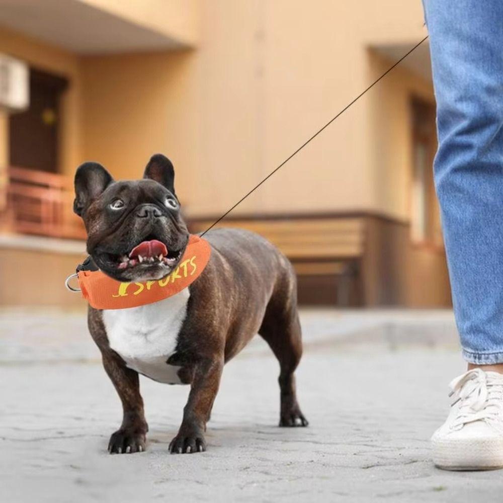Adjustable Dog Collar Leashes Neck Strap Puppy Necklace Bulldog Pet Collar Medium Large-sized Dog оранжевый
Adjustable Dog Collar Leashes Neck Strap Puppy Necklace Bulldog Pet Collar Medium Large-sized Dog оранжевый