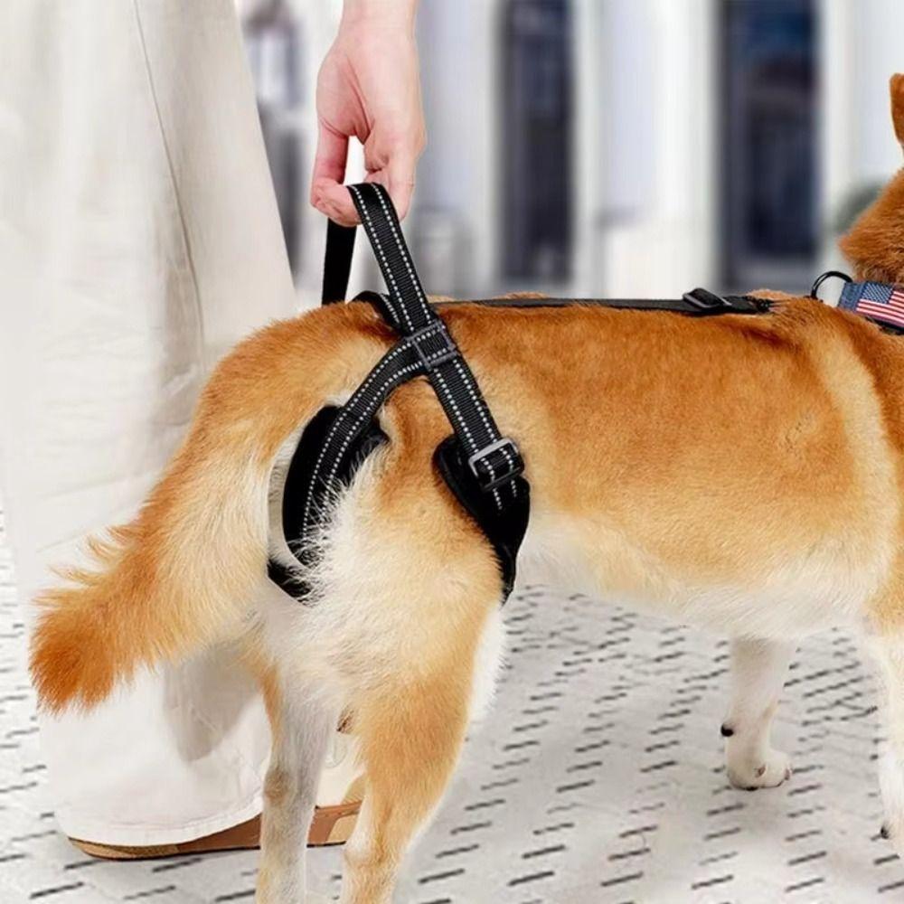 Adjustable Dog Sling For Back Legs Reflective Strips Dog Hip Support Sling for Elderly S чорний
Adjustable Dog Sling For Back Legs Reflective Strips Dog Hip Support Sling for Elderly S чорний