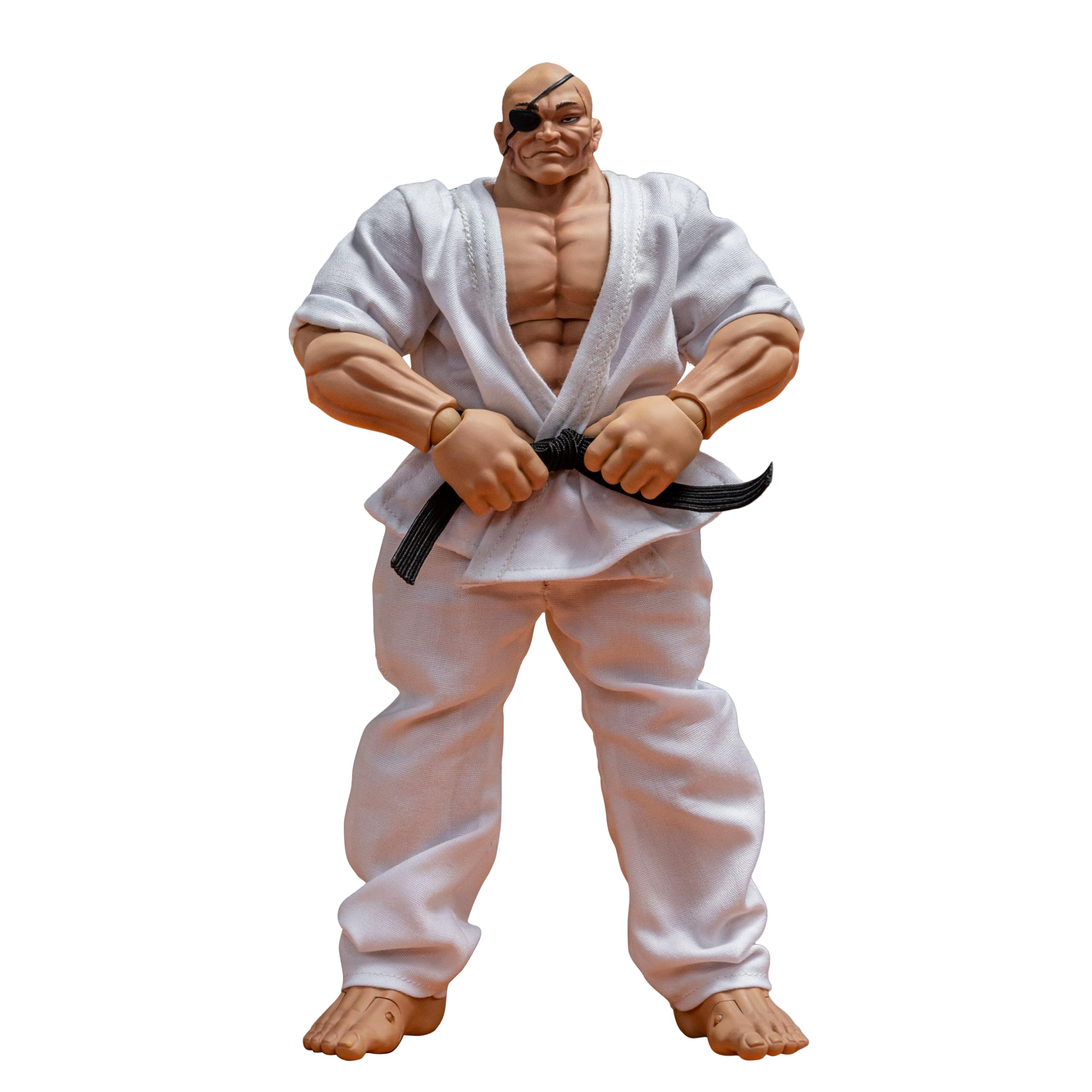 Baki the Grappler Action Doppo Orochi Figure
Baki the Grappler Action Doppo Orochi Figure