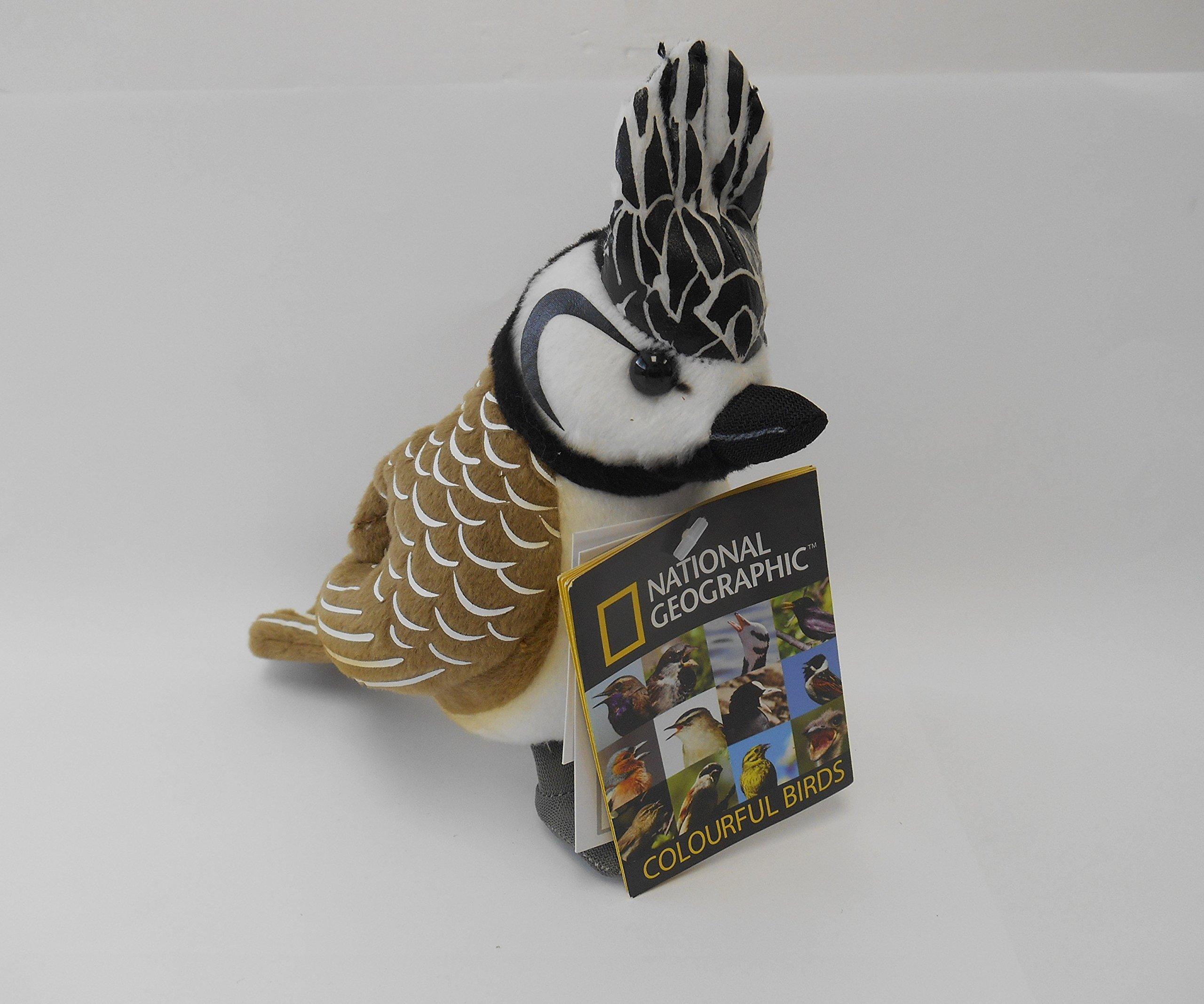 National Geographic Plush Baby Crested Tit 770794B
National Geographic Plush Baby Crested Tit 770794B