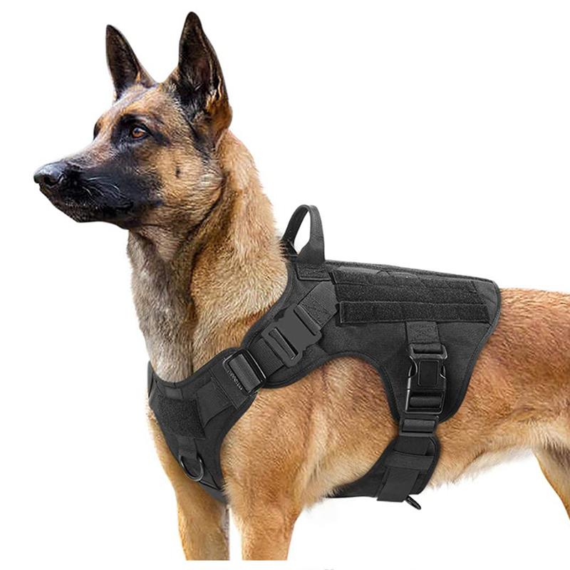 Tactical Dog Harness Military Pet Німецька вівчарка Pet Train Vest Набір шлейок і повідків для собак для маленьких середніх великих собак M
Tactical Dog Harness Military Pet Німецька вівчарка Pet Train Vest Набір шлейок і повідків для собак для маленьких середніх великих собак M