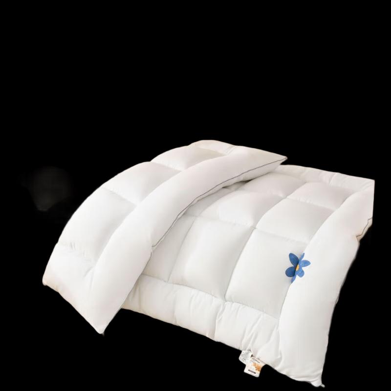 Soybean Protein Fiber Dormitory Quilt
Soybean Protein Fiber Dormitory Quilt