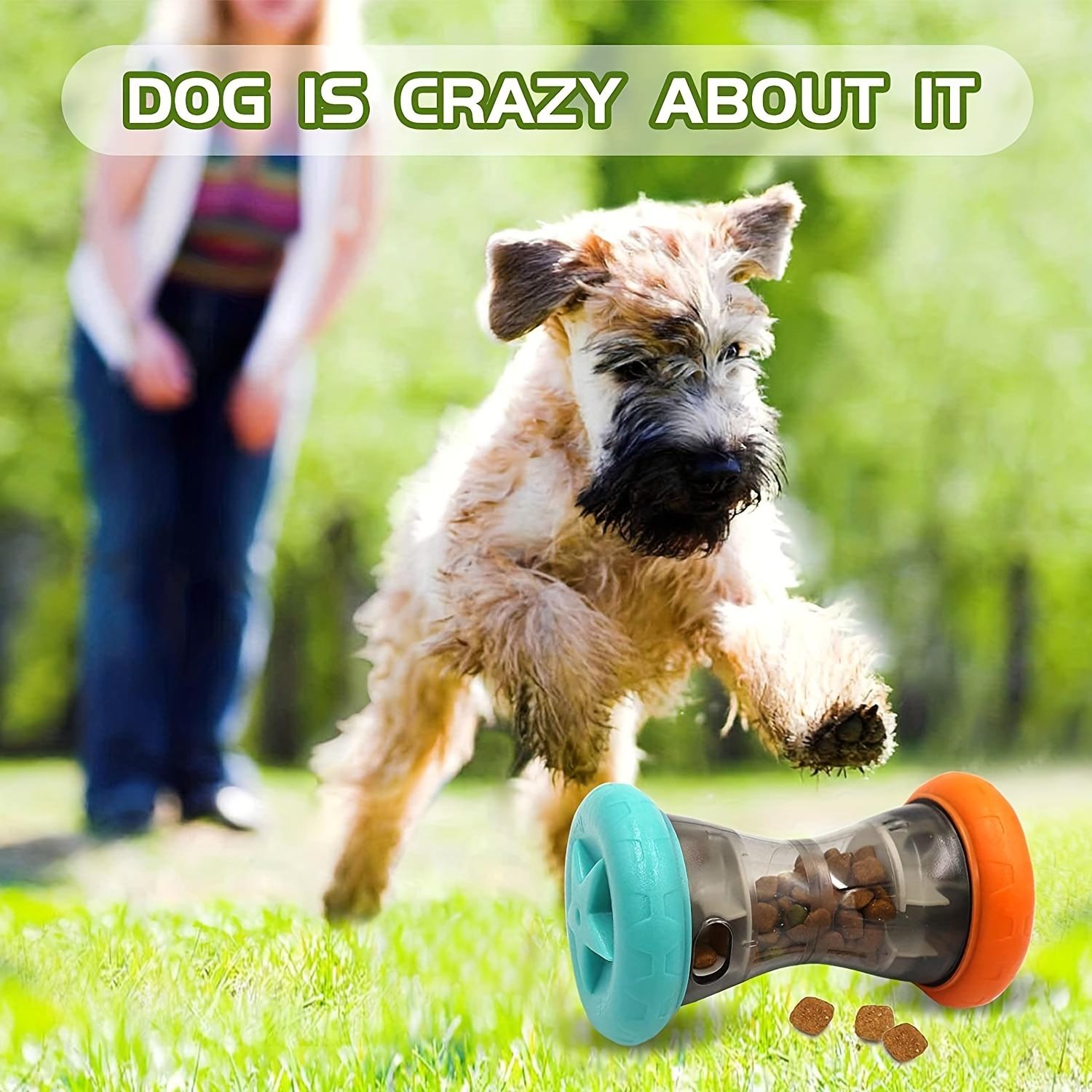 Dog Puzzle Toys Pet Food Interactive Tumbler Slow Feeder Puppy Toys Snack Treat Dispenser for Pets Dogs IQ Training Dog Supplies
Dog Puzzle Toys Pet Food Interactive Tumbler Slow Feeder Puppy Toys Snack Treat Dispenser for Pets Dogs IQ Training Dog Supplies