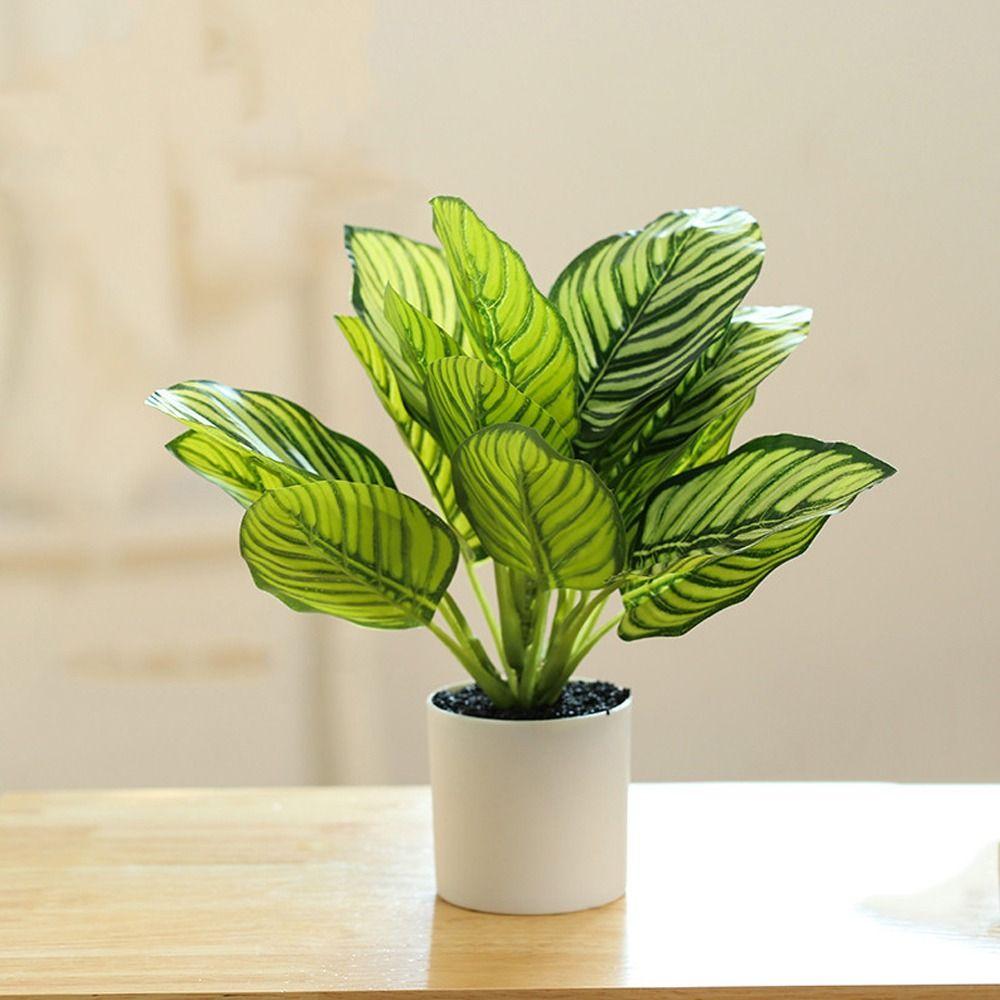 Plastic Simulation Potted Plants with Pot Green Potted Decoration Artificial Plants Bonsai Office
Plastic Simulation Potted Plants with Pot Green Potted Decoration Artificial Plants Bonsai Office
