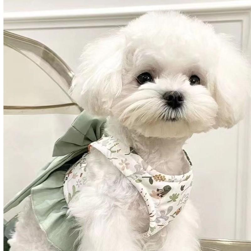 Three-purpose Outdoor Chest and Back Traction Rope Bow Half-section Vest Type Dog, Suitable for Bear Teddy Pet Cat (green,L) зелёный
Three-purpose Outdoor Chest and Back Traction Rope Bow Half-section Vest Type Dog, Suitable for Bear Teddy Pet Cat (green,L) зелёный