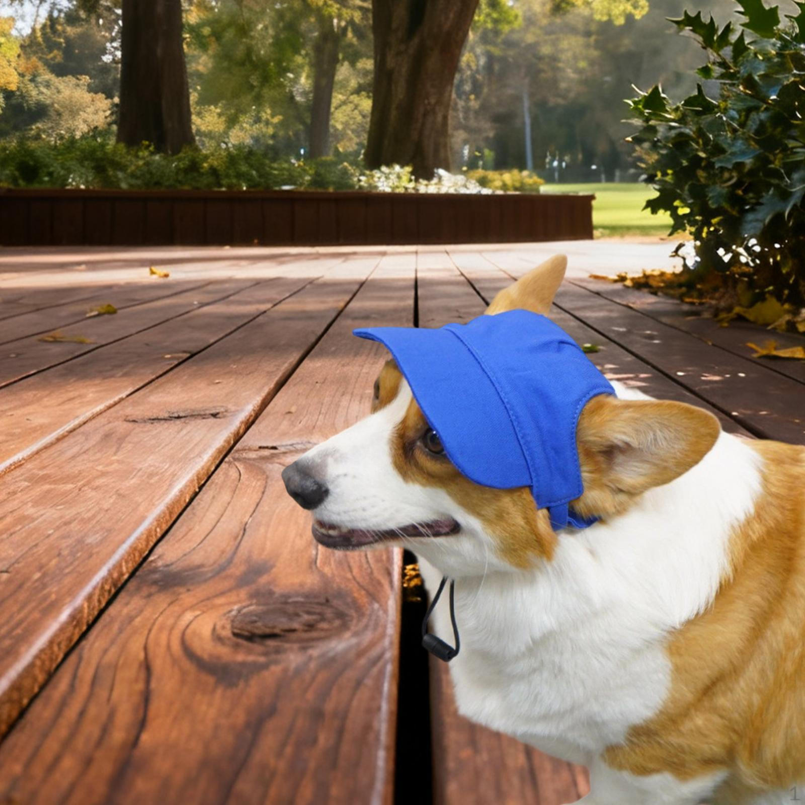Canvas Dog Baseball Cap, Comfortable, Modern, with Ear Holes, Adjustable. S синій
Canvas Dog Baseball Cap, Comfortable, Modern, with Ear Holes, Adjustable. S синій