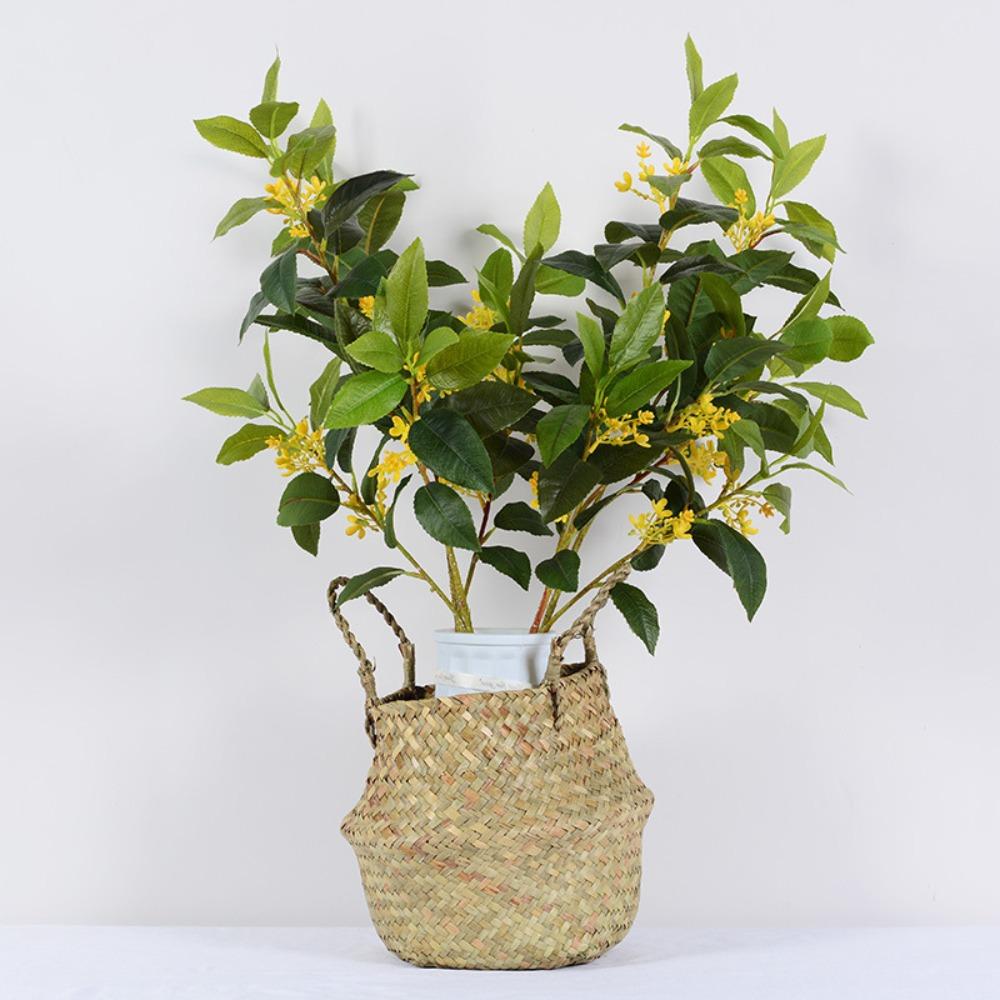 Multi-color Simulation Osmanthus Ornaments Landscape Design New Garden Decorations Type F
Multi-color Simulation Osmanthus Ornaments Landscape Design New Garden Decorations Type F