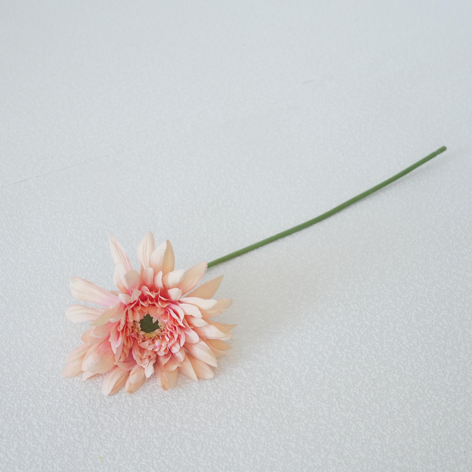 3Pcs Artificial Flowers 17.72 Inch Curled Furano Chrysanthemum for Wedding Bouquet Outdoor Yard Garden Home Decoration
3Pcs Artificial Flowers 17.72 Inch Curled Furano Chrysanthemum for Wedding Bouquet Outdoor Yard Garden Home Decoration