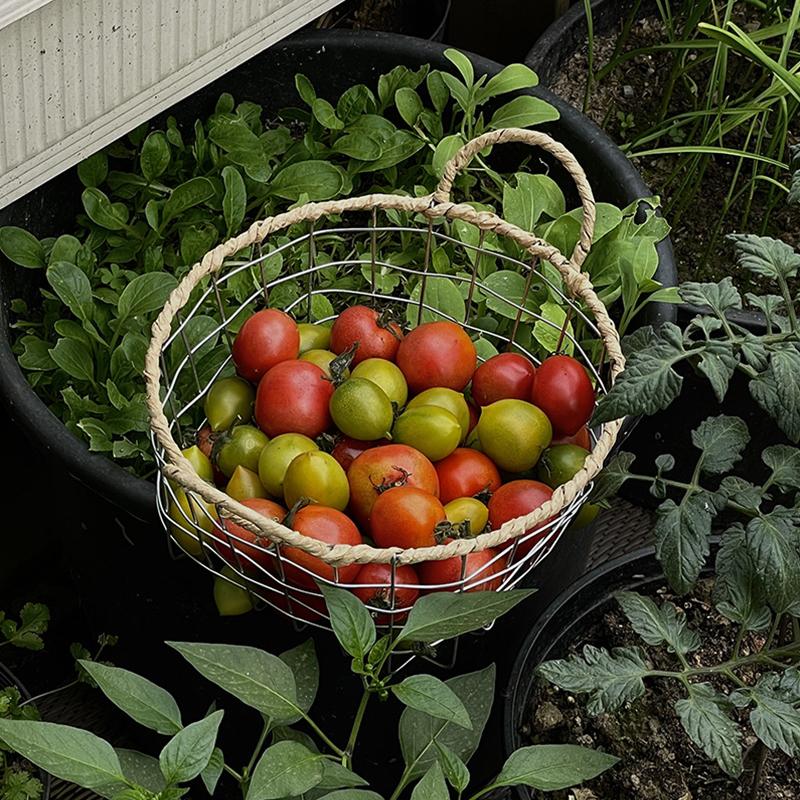 Pastoral Style Iron Art Hollow Basket Binaural Storage Basket Wire Storage Basket Grid Storage Basket L
Pastoral Style Iron Art Hollow Basket Binaural Storage Basket Wire Storage Basket Grid Storage Basket L