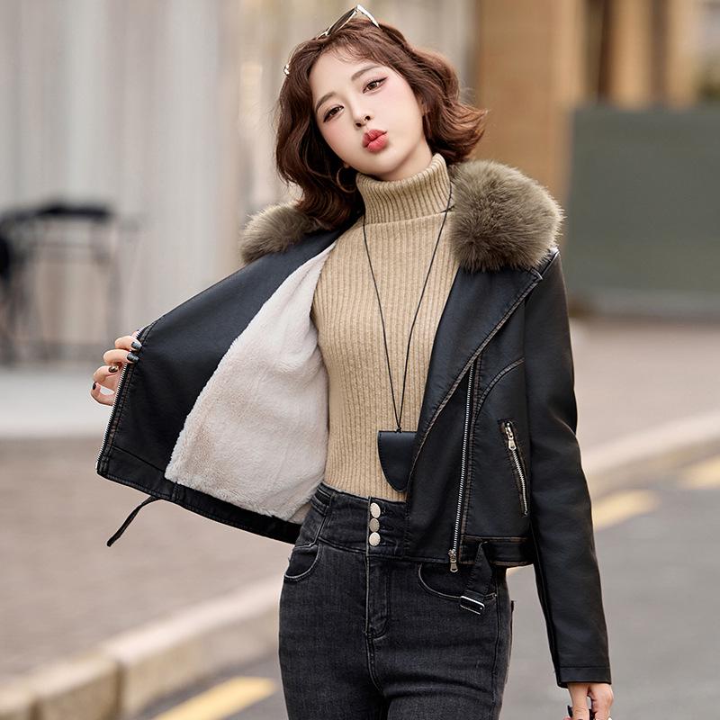 Women s Fleece-Lined PU Leather Jacket with Big Fur Collar - Petite, Thickened Motorcycle Style for Autumn and Winter (Model ZH1159) L (110-120 jin)
Women s Fleece-Lined PU Leather Jacket with Big Fur Collar - Petite, Thickened Motorcycle Style for Autumn and Winter (Model ZH1159) L (110-120 jin)