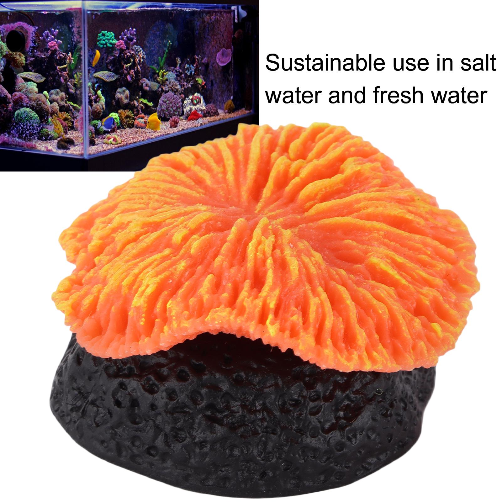 Landscaping Aquarium Decoration Artificial Sawgrass Decoration for Fish and Aquarium
Landscaping Aquarium Decoration Artificial Sawgrass Decoration for Fish and Aquarium