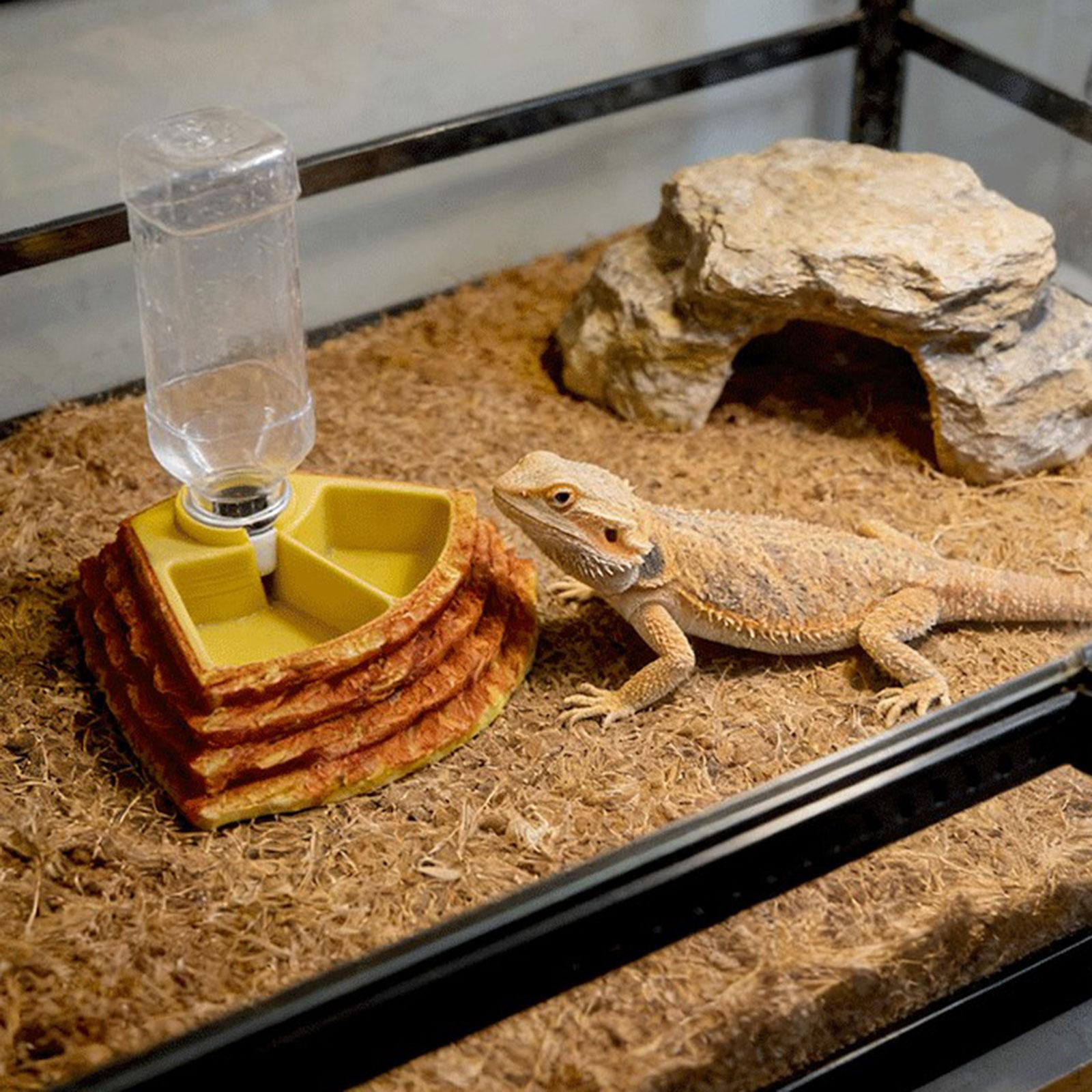 And Versatile Automatic Water Dispenser for Reptiles, Ideal Horned Frogs. коричневый
And Versatile Automatic Water Dispenser for Reptiles, Ideal Horned Frogs. коричневый