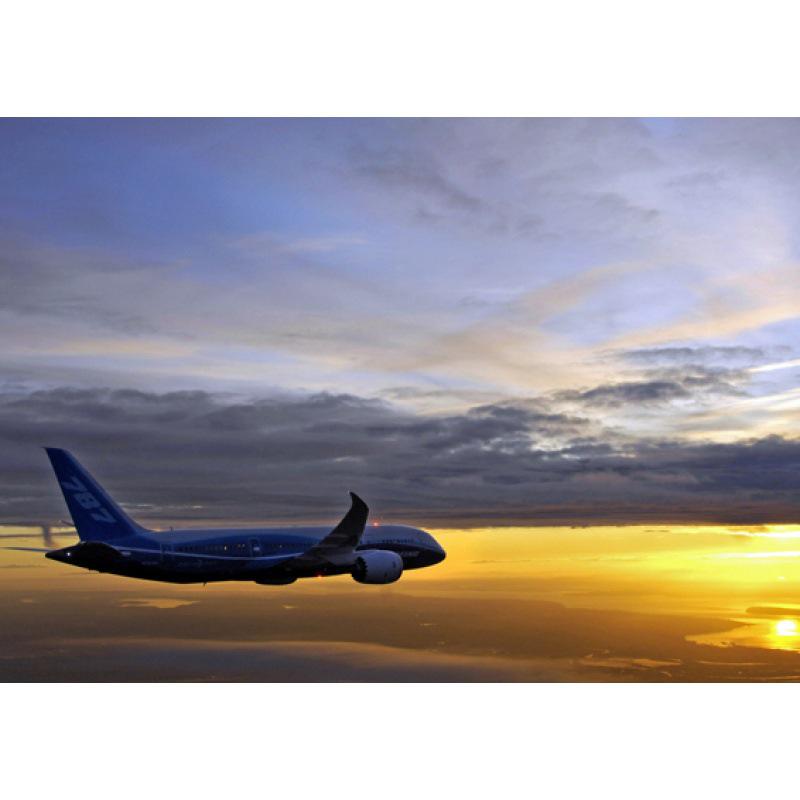 Постер з зображенням літаків Airbus та Boeing з рамою - Декор для гуртожитку, спальні, вітальні Yellow Kraft Paper (No Glue) 30X42 cm
Постер з зображенням літаків Airbus та Boeing з рамою - Декор для гуртожитку, спальні, вітальні Yellow Kraft Paper (No Glue) 30X42 cm