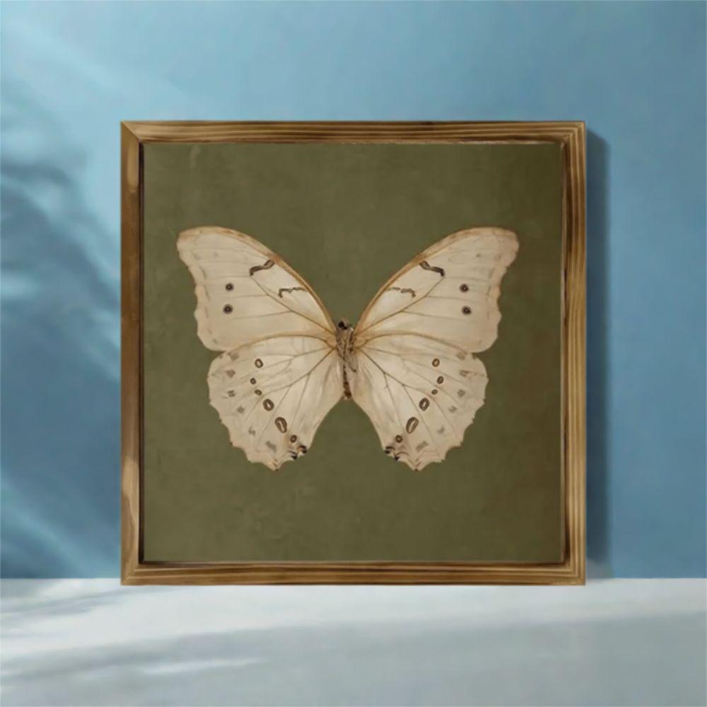 Creative Butterfly Specimen Photo Frame Vintage DIY Display Frame Picture Frame Shop зелений
Creative Butterfly Specimen Photo Frame Vintage DIY Display Frame Picture Frame Shop зелений