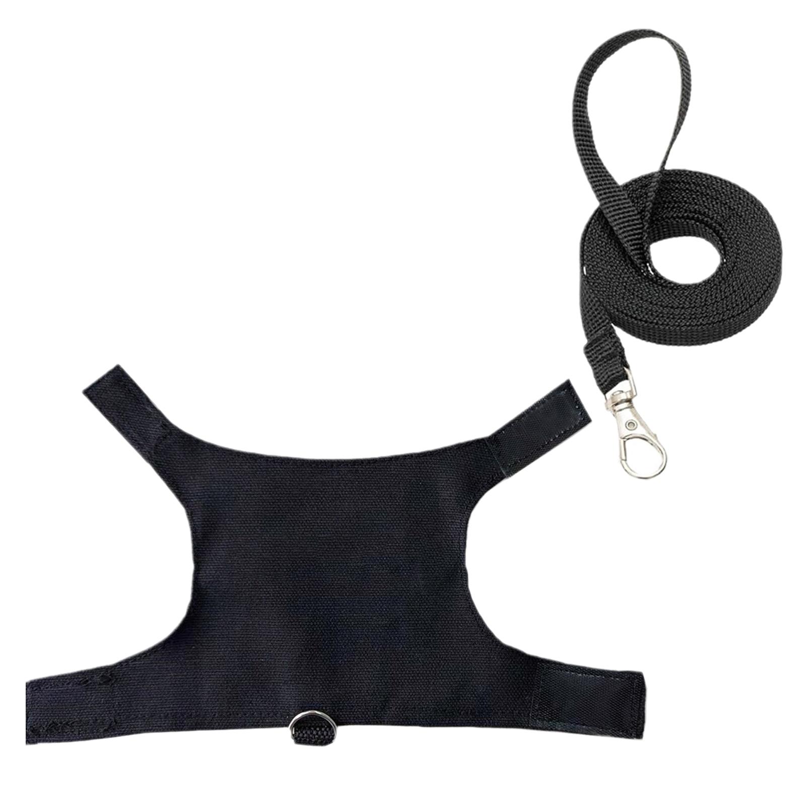 Надежный комплект веревок для тяги груди и спины для ящериц и рептилий, упряжь для прогулок на открытом воздухе с буквенным принтом для ползания рептилий
Надежный комплект веревок для тяги груди и спины для ящериц и рептилий, упряжь для прогулок на открытом воздухе с буквенным принтом для ползания рептилий