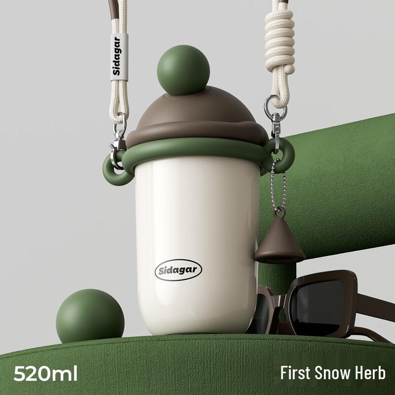 Portable Insulated Straw Water Bottle for Women 520ML
Portable Insulated Straw Water Bottle for Women 520ML