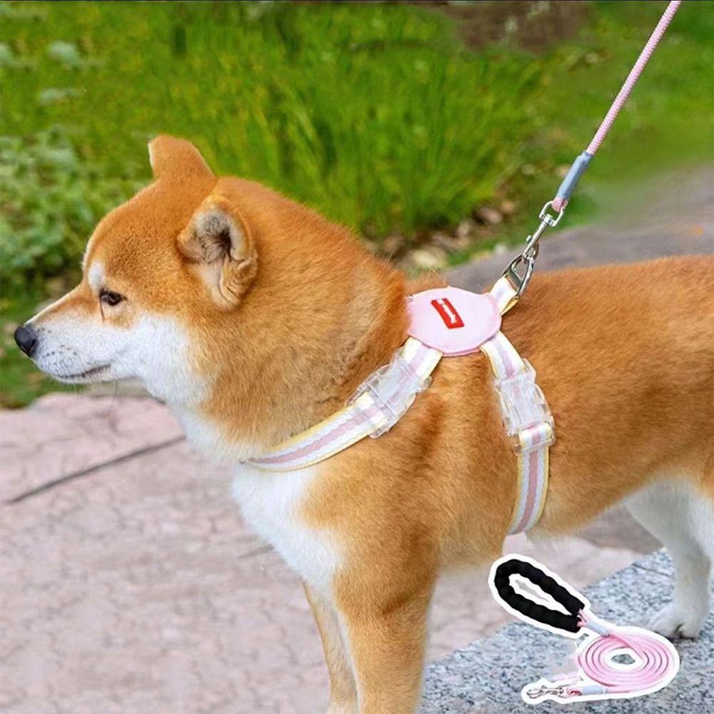 Multi-color Dog Harness and Leash Set Adjustable Cat Harness Dog Chest Strap Outdoor Walking S рожевий
Multi-color Dog Harness and Leash Set Adjustable Cat Harness Dog Chest Strap Outdoor Walking S рожевий