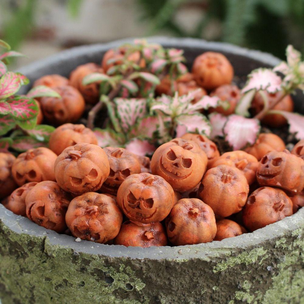 20Pcs Mini Halloween Pumpkin Ornaments Resin Garden Home Ornament Micro Landscape Paving Stone
20Pcs Mini Halloween Pumpkin Ornaments Resin Garden Home Ornament Micro Landscape Paving Stone