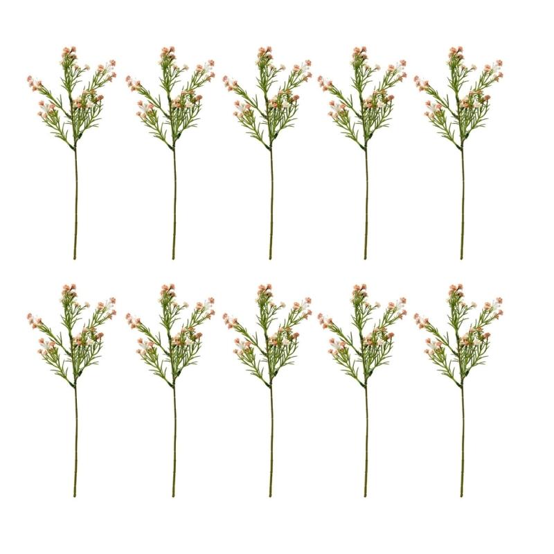 10pcs Plastic Flower Arrangement Artificial Gypsophila Branch for Party Decorations Natural and Beautiful Decors
10pcs Plastic Flower Arrangement Artificial Gypsophila Branch for Party Decorations Natural and Beautiful Decors