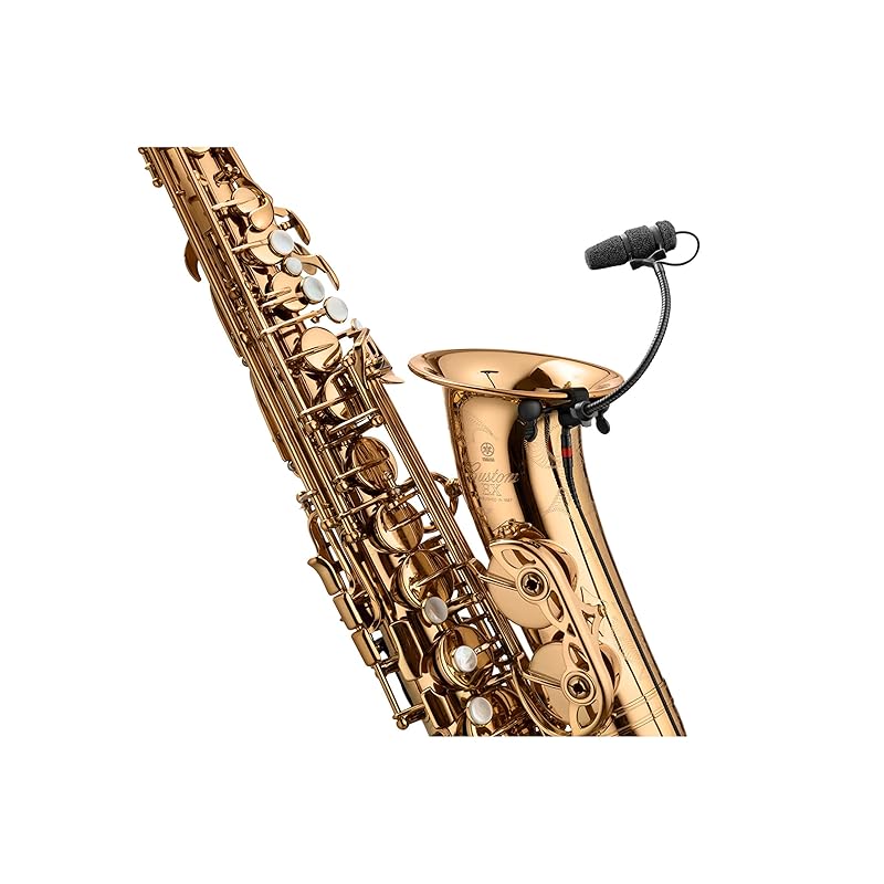 DPA 4099-DC-1-199-S for musical instruments high sensitivity microphone saxophone set
DPA 4099-DC-1-199-S for musical instruments high sensitivity microphone saxophone set