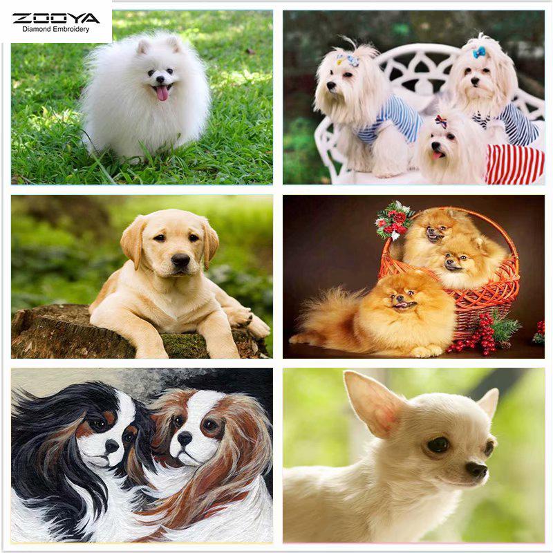 ZOOYA DIY Полный дрель Алмазная картина Животное Собака Искусство Вышивка Крестом Мозаика Домашний Декор Подарок
ZOOYA DIY Полный дрель Алмазная картина Животное Собака Искусство Вышивка Крестом Мозаика Домашний Декор Подарок