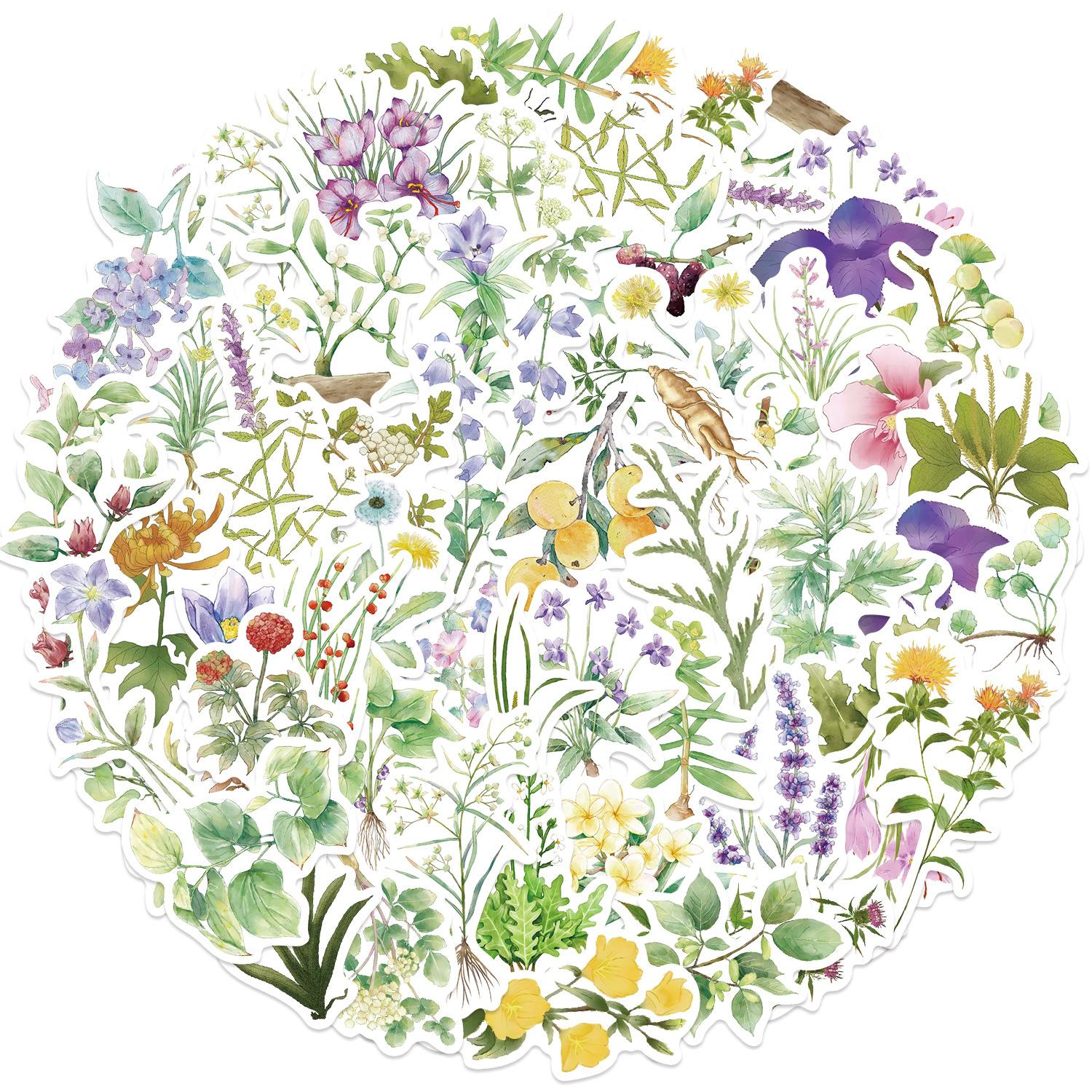 50 шт. Наклейки-граффити с китайскими травяными растениями, украшающие гитару, блокнот, чемодан, сделай сам, водонепроницаемые
50 шт. Наклейки-граффити с китайскими травяными растениями, украшающие гитару, блокнот, чемодан, сделай сам, водонепроницаемые