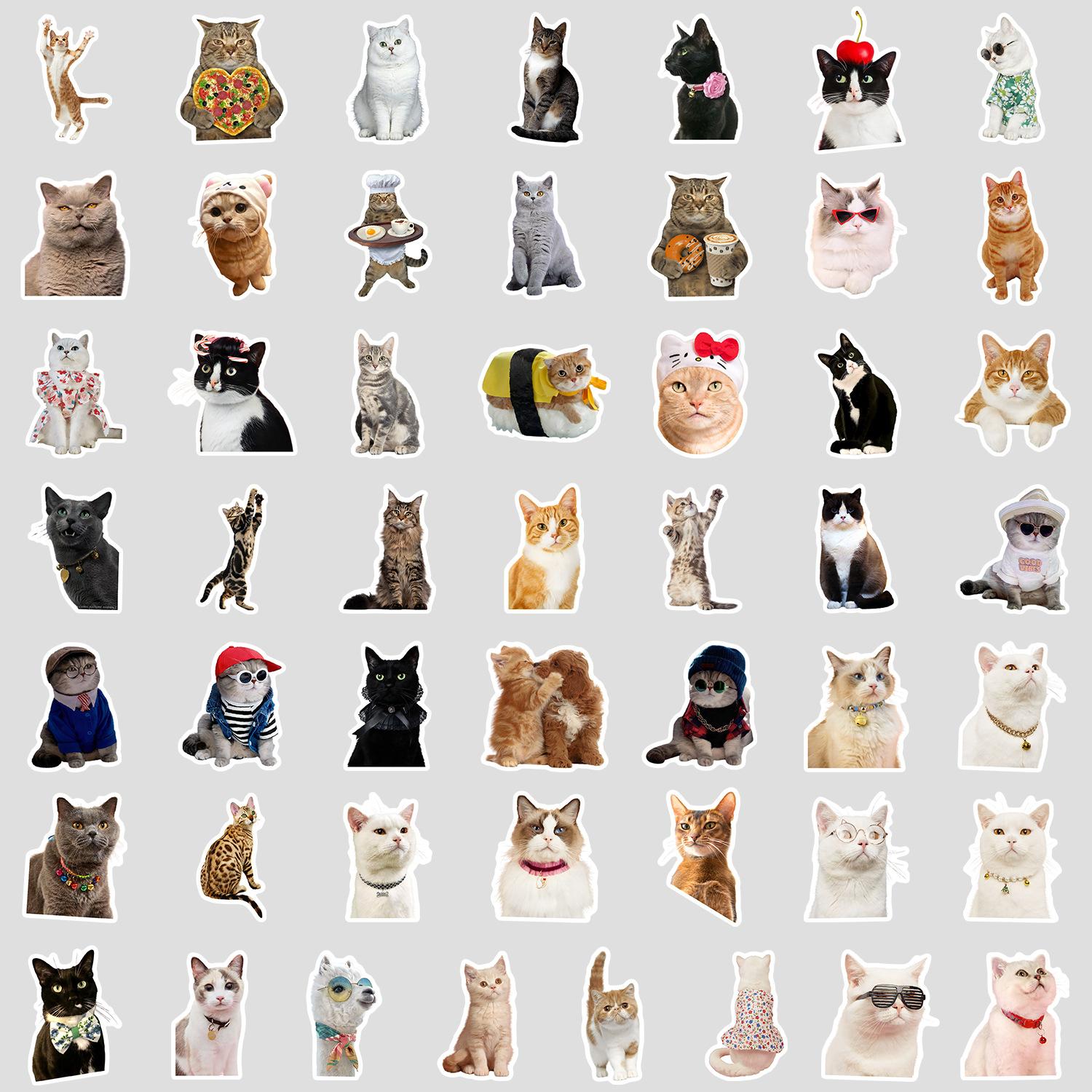 50 Cartoon Cute Kitten Emoticon Pack Graffiti Stickers Mobile Phone Case Hand Account Computer Suitcase Stickers
50 Cartoon Cute Kitten Emoticon Pack Graffiti Stickers Mobile Phone Case Hand Account Computer Suitcase Stickers