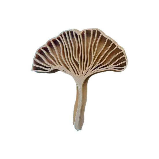 Ginkgo Biloba Leaf Clay Stamp 3D Printed Leaf Pattern Clay Embossing Mold for DIY Crafts Polymer Clay Making Leaf
Ginkgo Biloba Leaf Clay Stamp 3D Printed Leaf Pattern Clay Embossing Mold for DIY Crafts Polymer Clay Making Leaf