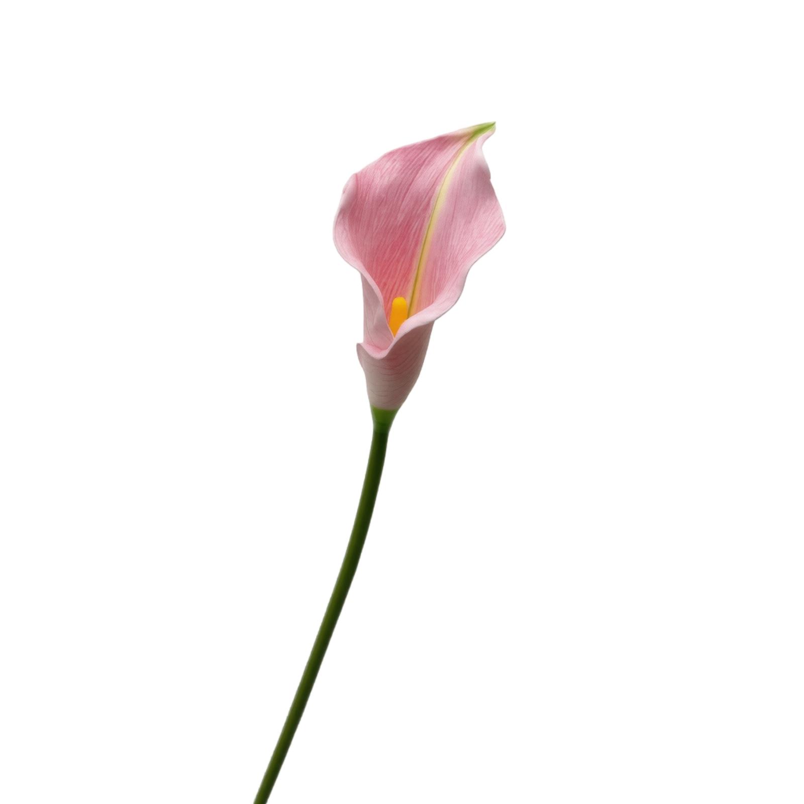 Artificial Calla Lily Flower Stem EVA Foam Material Realistic Texture Single Stem for Home Office Wedding Decoration Floral Arrangement One Size рожевий
Artificial Calla Lily Flower Stem EVA Foam Material Realistic Texture Single Stem for Home Office Wedding Decoration Floral Arrangement One Size рожевий
