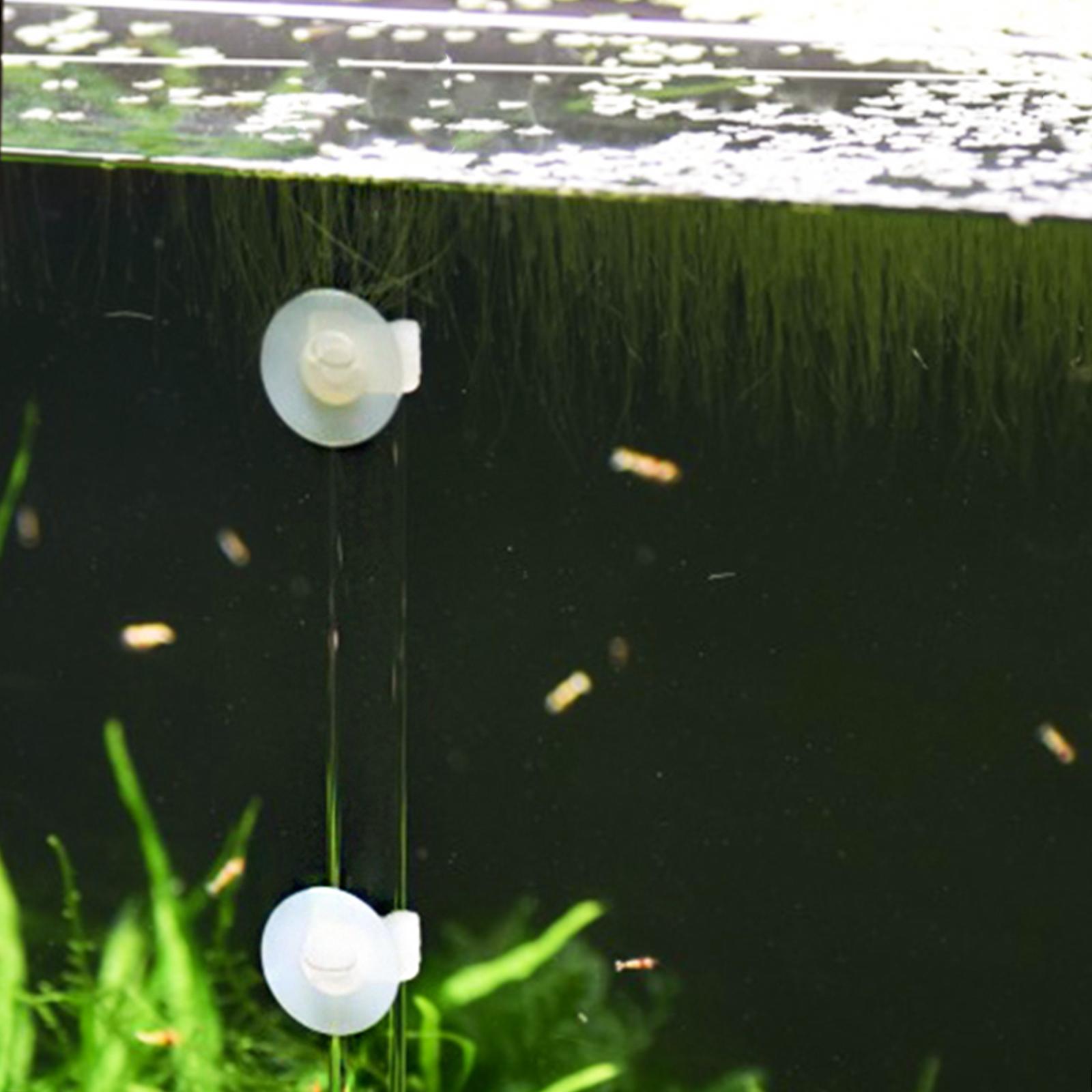 1 set Fish Aquarium Tank Esophageal Transparent Feeder Tool for Baby Food Dispenser Fish Tanks Shrimp Feeder Tube Equipment 7X7X32CM
1 set Fish Aquarium Tank Esophageal Transparent Feeder Tool for Baby Food Dispenser Fish Tanks Shrimp Feeder Tube Equipment 7X7X32CM