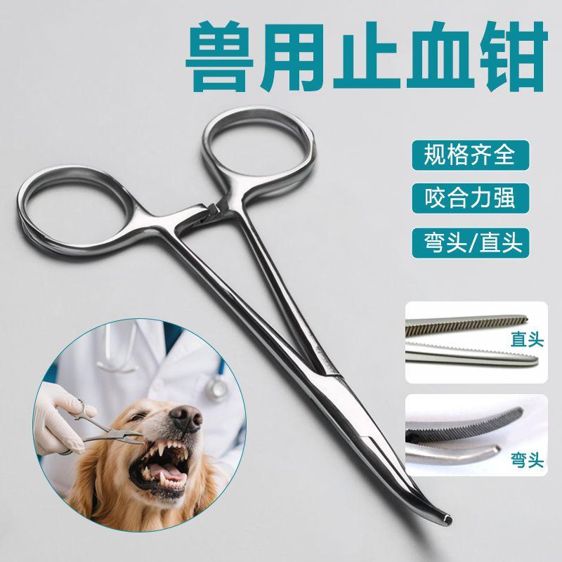 Pet Supplies Pliers Dog Dental Calculus Remover Oral Cavity Deodorant Removing Dental Calculus Cleaning Teeth Gadget Tools Teddy Straight 12.5cm hemostatic forceps
Pet Supplies Pliers Dog Dental Calculus Remover Oral Cavity Deodorant Removing Dental Calculus Cleaning Teeth Gadget Tools Teddy Straight 12.5cm hemostatic forceps