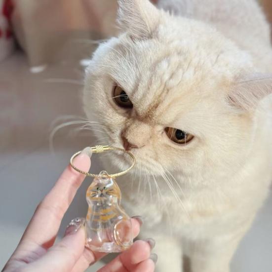 Пляшка для зберігання котячої шерсті Прозорий брелок-сувенір для шерсті домашніх тварин для колекціонування котячої та собачої шерсті Подарунок на пам ять про домашнього улюбленця B
Пляшка для зберігання котячої шерсті Прозорий брелок-сувенір для шерсті домашніх тварин для колекціонування котячої та собачої шерсті Подарунок на пам ять про домашнього улюбленця B