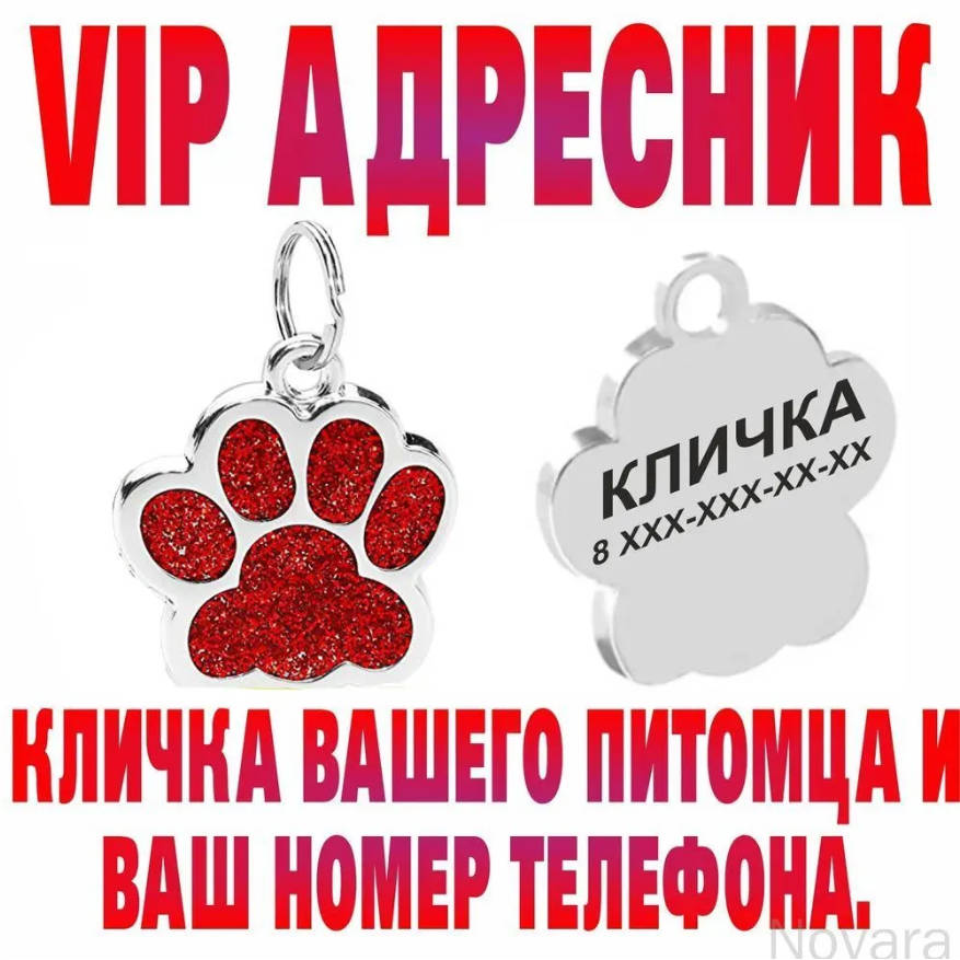 Pet Paw Print Pendant ID Tag Customizable Dog Collar Charm Durable Metal Personalized Engraving Suitable for Medium Size Pets Accessories One Size красный
Pet Paw Print Pendant ID Tag Customizable Dog Collar Charm Durable Metal Personalized Engraving Suitable for Medium Size Pets Accessories One Size красный