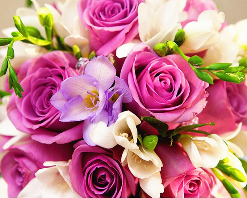 5D алмазний живопис Нові надходження Пейзаж Роза Стрази Алмазна вишивка Повний набір Квіти Алмазна мозаїка Декор стін Full Round 20X30CM білий
5D алмазний живопис Нові надходження Пейзаж Роза Стрази Алмазна вишивка Повний набір Квіти Алмазна мозаїка Декор стін Full Round 20X30CM білий