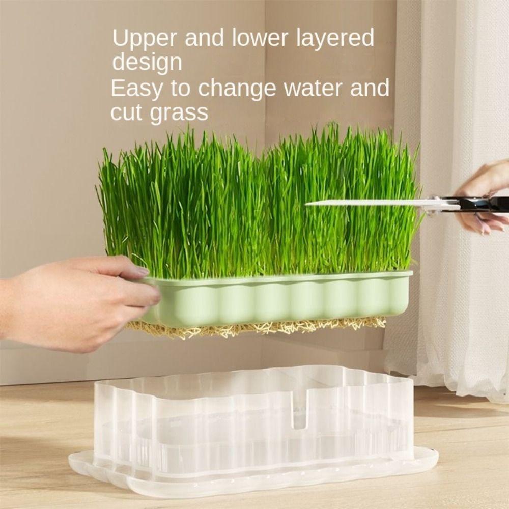 Soilless Cultivation Sprouts Growing Tray Horticultural Tool Sprouting Tray Cat Grass Dish сірий
Soilless Cultivation Sprouts Growing Tray Horticultural Tool Sprouting Tray Cat Grass Dish сірий