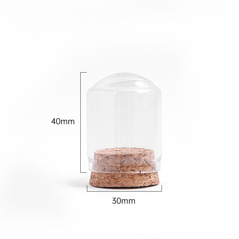 30mm Cork Glass Bottle - Small Capacity for Reagents, Wishes, or Messages
30mm Cork Glass Bottle - Small Capacity for Reagents, Wishes, or Messages
