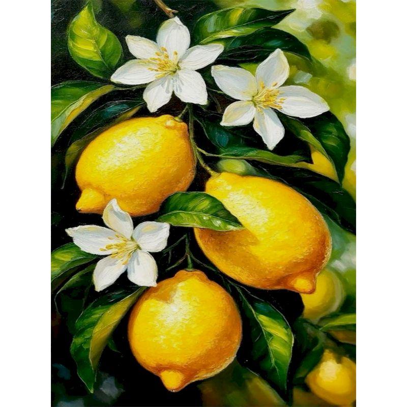 GATYZTORY Modern Diy Painting By Numbers Kits Scenery Picture Of Coloring By Numbers Acrylic Paint Lemon Tree For Adults Diy Gif 30x20cm no frame
GATYZTORY Modern Diy Painting By Numbers Kits Scenery Picture Of Coloring By Numbers Acrylic Paint Lemon Tree For Adults Diy Gif 30x20cm no frame
