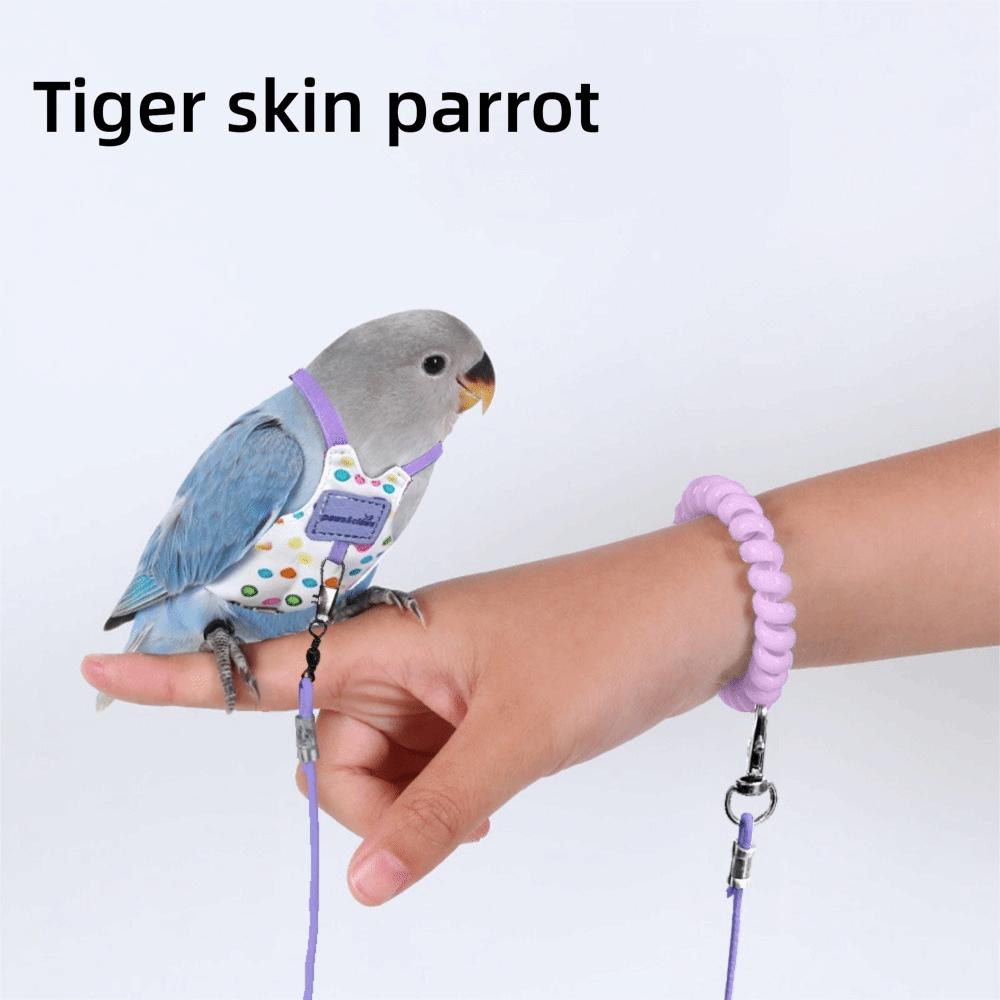 Breathable Bird Flight Suit Anti-Bite Bird Walking Leash New Parrot Flying Harness Bird Outgoing Purple-Style1
Breathable Bird Flight Suit Anti-Bite Bird Walking Leash New Parrot Flying Harness Bird Outgoing Purple-Style1