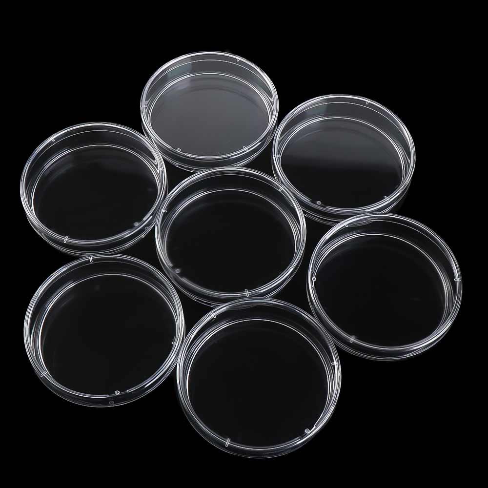55x15mm Transparent Bacteria Culture Dish Petri Dishes Sterile Petri Dishes Clear Petri Dish 55mm
55x15mm Transparent Bacteria Culture Dish Petri Dishes Sterile Petri Dishes Clear Petri Dish 55mm