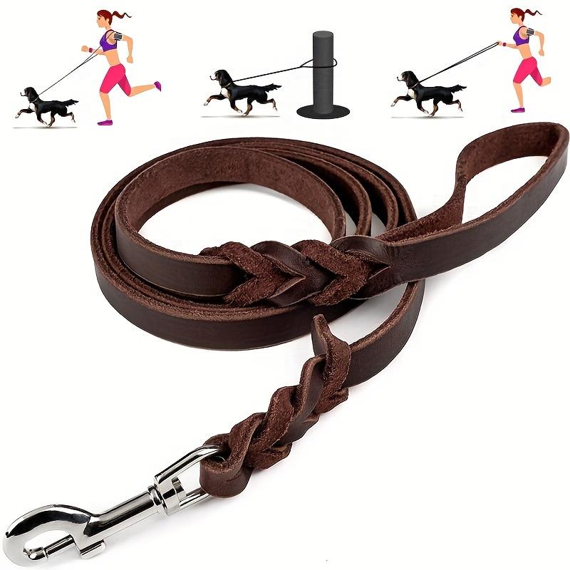 Professional Cowhide Rivet Dog Collar Leash Small Medium And Large Dog Anti-Bite Training Genuine Leather Dog Collar
Professional Cowhide Rivet Dog Collar Leash Small Medium And Large Dog Anti-Bite Training Genuine Leather Dog Collar