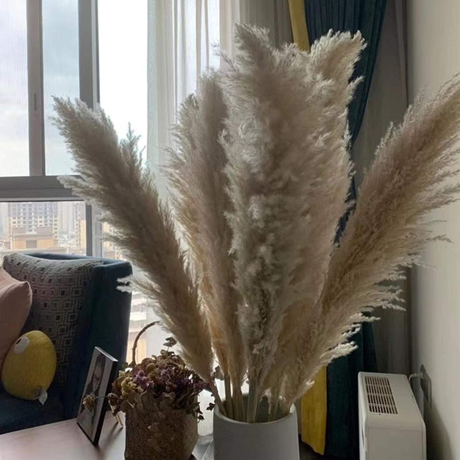 Белый натуральный тростниковый сушеный цветок, большой пампасный букет из травы, украшение для свадебной цветочной церемонии, современное украшение для дома, осенний декор
Белый натуральный тростниковый сушеный цветок, большой пампасный букет из травы, украшение для свадебной цветочной церемонии, современное украшение для дома, осенний декор