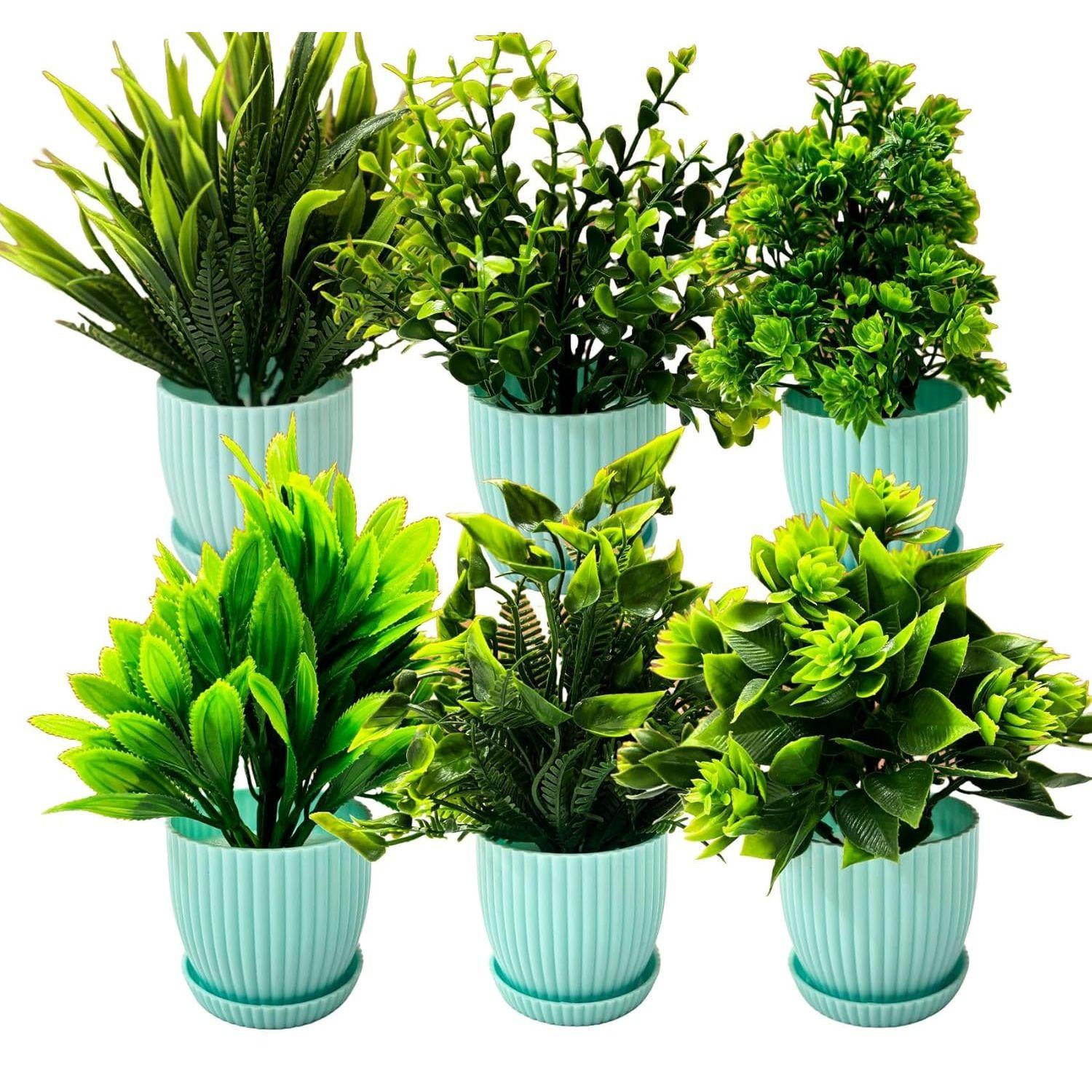 6 Packs Fake Plants Small, Mini Artificial Plants Indoor for Home Farmhouse Bathroom Shelf Décor (Light Blue, Height : 17CM)
6 Packs Fake Plants Small, Mini Artificial Plants Indoor for Home Farmhouse Bathroom Shelf Décor (Light Blue, Height : 17CM)