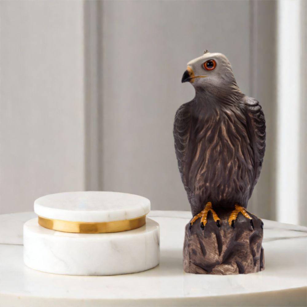 Lifelike Garden Eagle Statue Sturdy Birds Decoy Hawk Creative Hawk Ornament Home Garden Decor коричневий
Lifelike Garden Eagle Statue Sturdy Birds Decoy Hawk Creative Hawk Ornament Home Garden Decor коричневий