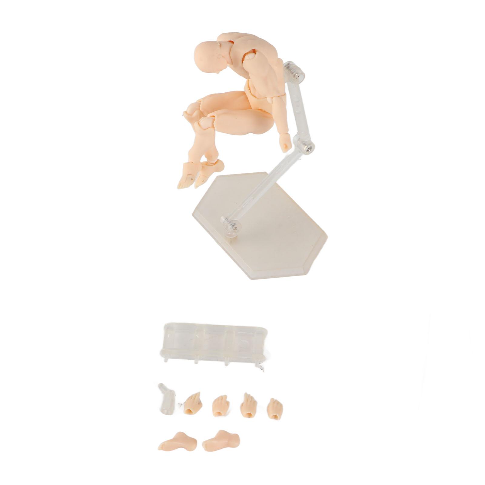 Sketch Draw Male Female Movable Body Model Artist Art Painting Anime Anime Figure Action Figure Model Mannequin Toy Gifts
Sketch Draw Male Female Movable Body Model Artist Art Painting Anime Anime Figure Action Figure Model Mannequin Toy Gifts