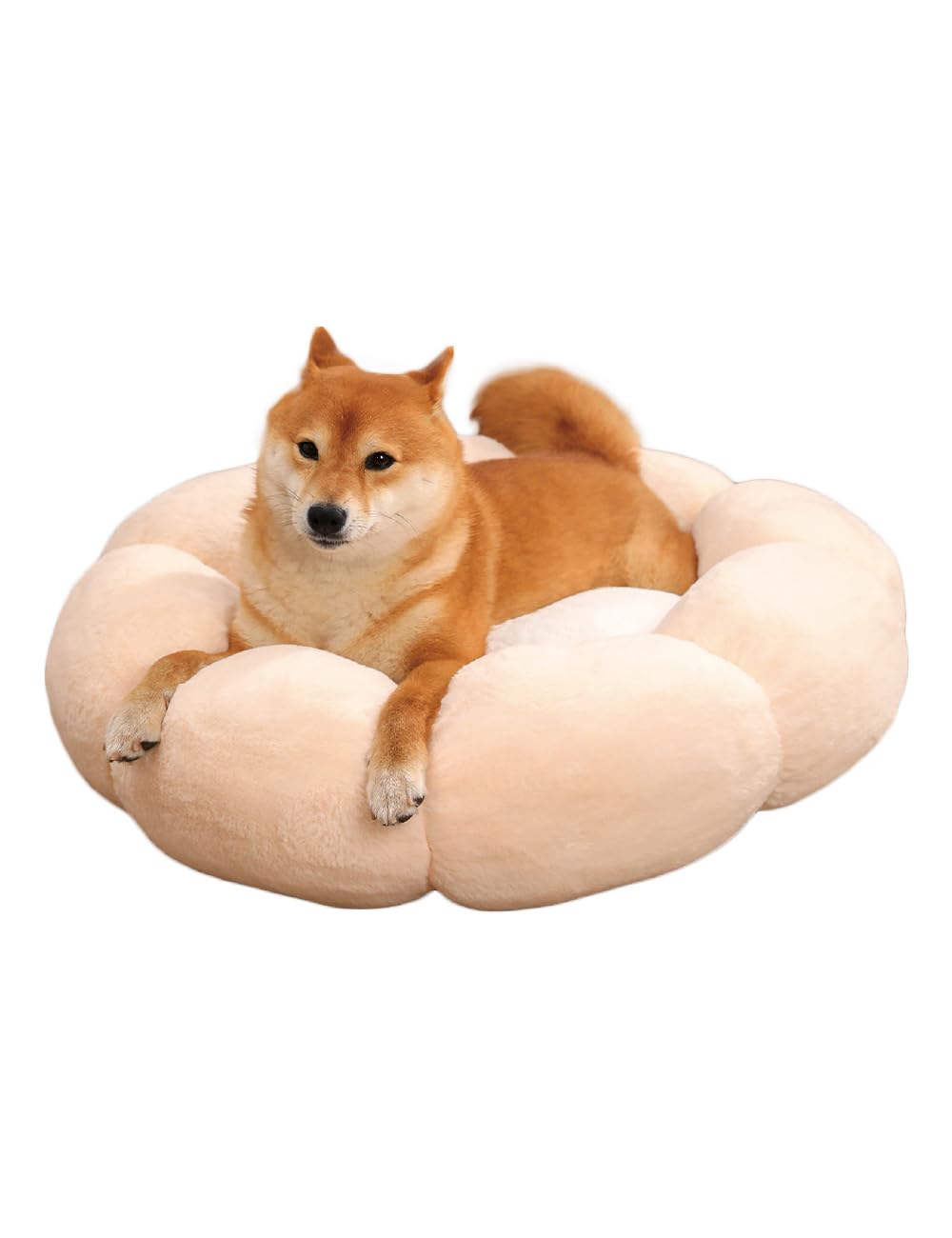PET HAPPY Pet Bed Cushion for Dogs and Donut Washable Pale Pink Cats, Small, Medium, Non-Slip, Shape, (M, & White)
PET HAPPY Pet Bed Cushion for Dogs and Donut Washable Pale Pink Cats, Small, Medium, Non-Slip, Shape, (M, & White)